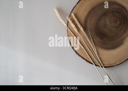 Beau seigle, tiges d'épis de blé et coupe en bois sur un fond beige neutre. Composition florale minimale esthétique, espace de copie. Invitation, salutation CA Banque D'Images