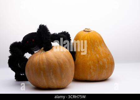 citrouilles, grandes et petites, avec une araignée perchée sur le dessus Banque D'Images