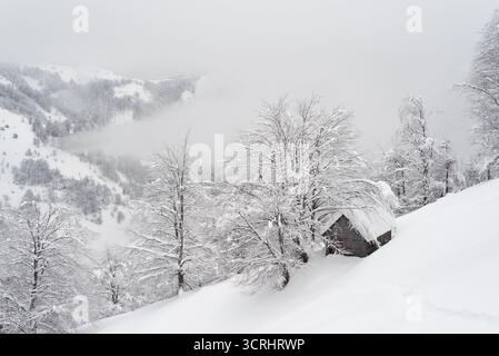 Paysage hivernal enneigé dans Mountain Village avec Old Wooden Cabin à côté des arbres gelés par temps brumeux Banque D'Images