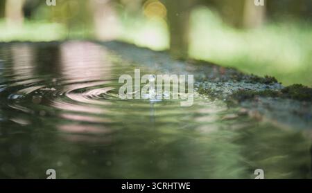 Goutte d'eau tombant dans l'étang immobile créant des ondulations et des reflets dans une lumière naturelle douce, calme et zen nature moment in Focus Banque D'Images