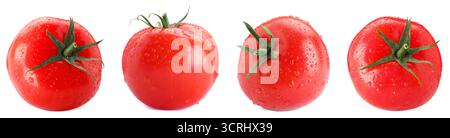 Tomates mûres fraîches avec des gouttes d'eau isolées sur blanc, serties Banque D'Images