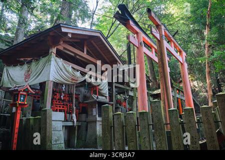Complexe de temples à Nikko, Japon entouré d'une ancienne forêt de cèdres. Site classé au patrimoine mondial de l'UNESCO avec sanctuaires décorés et architectu sacré Banque D'Images