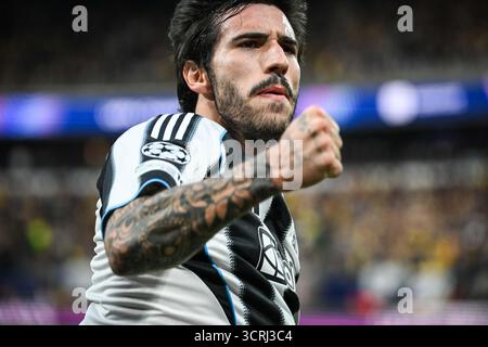 Bruxelles, Belgique, Belgique. 1er octobre 2025. Sandro TONALI de Newcastle célèbre son but lors du match MD2 de l'UEFA Champions League, League phase entre Royale Union Saint-Gilloise et Newcastle United au Lotto Park le 1er octobre 2025 à Bruxelles, Belgique. (Crédit image : © Matthieu Mirville/ZUMA Press Wire) USAGE ÉDITORIAL SEULEMENT ! Non destiné à UN USAGE commercial ! Banque D'Images