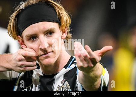 Bruxelles, Belgique, Belgique. 1er octobre 2025. Anthony GORDON de Newcastle célèbre son but lors du match MD2 de l'UEFA Champions League, League phase MD2 entre Royale Union Saint-Gilloise et Newcastle United au Lotto Park le 1er octobre 2025 à Bruxelles, Belgique. (Crédit image : © Matthieu Mirville/ZUMA Press Wire) USAGE ÉDITORIAL SEULEMENT ! Non destiné à UN USAGE commercial ! Banque D'Images