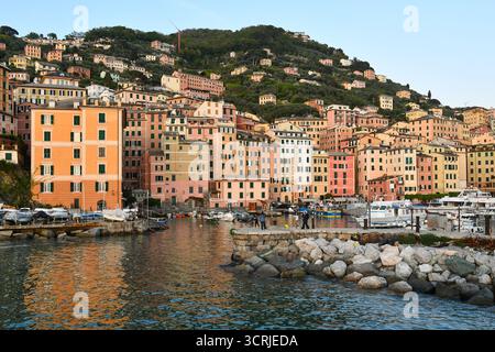 Vue sur le vieux village de pêcheurs, avec les bâtiments colorés donnant sur le petit port, au coucher du soleil, Camogli (Gênes), Ligurie, Italie Banque D'Images