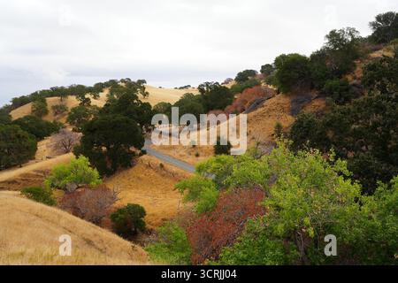 Paysage d'automne à Black Diamond Mines Regional Preserve à Antioch, en Californie, avec des collines dorées, des chênes et des feuillages saisonniers montrant la couleur Banque D'Images
