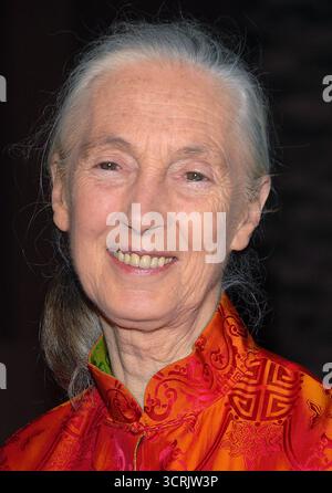 Los Angeles, États-Unis. 1er octobre 2025. Jane Goodall, célèbre primatologue et conservationniste, est décédée à l'âge de 91 ans le 1er octobre 2025 de causes naturelles alors qu'elle était en Californie lors d'une tournée de conférences aux États-Unis.------------------------------------------------ 6 octobre 2006 Los Angeles, CA. Jane Goodall le Jules Verne Adventure film Festival Tributes tenu au Shrine Auditorium Credit : AFF/Alamy Live News Banque D'Images