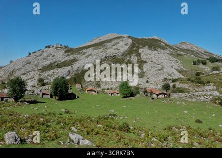 Cabanes de bergers traditionnelles dans le parc national des Picos de Europa, Covadunga, Asturies, Espagne Banque D'Images