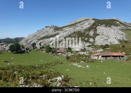 Cabanes de bergers traditionnelles dans le parc national des Picos de Europa, Covadunga, Asturies, Espagne Banque D'Images