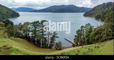 Photo de Tim Cuff - 19 mai 2025 - le bateau postal arrive à la jetée de la ferme Wilson Bay, Marlborough Sounds, Nouvelle-Zélande. Banque D'Images