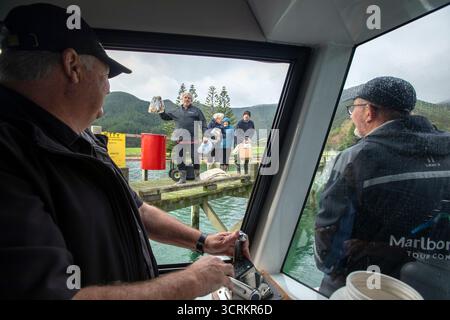 Pelorus Mailboat, Marlborough Sounds, Nouvelle-Zélande Banque D'Images