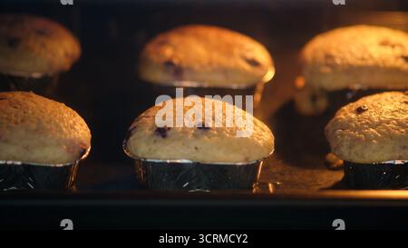 Muffins faits maison au fromage cottage montant dans le four avec des dessus dorés, texture douce et délicieux arôme fraîchement cuit. Banque D'Images