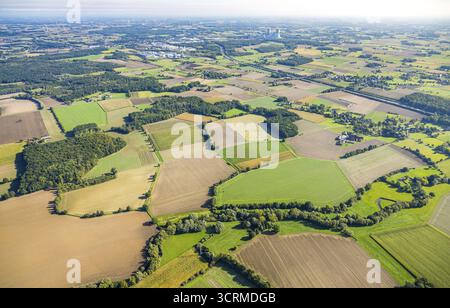 Vue aérienne, prairies et champs, Voeckinghausen, vue sur la centrale électrique RWE Westfalen et l'autoroute A2, quartier Rhynern, Hamm, région de la Ruhr, Rhénanie-du-Nord-Wes Banque D'Images