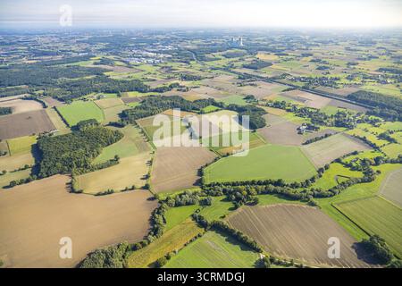 Vue aérienne, prairies et champs, Voeckinghausen, vue de la centrale électrique RWE Westfalen, quartier Rhynern, Hamm, région de la Ruhr, Rhénanie du Nord-Westphalie, Allemagne Banque D'Images
