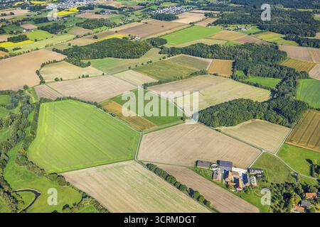 Vue aérienne, prairies et champs, Voeckinghausen, vue sur Hamm, quartier Rhynern, Hamm, Ruhr area, Rhénanie-du-Nord-Westphalie, Allemagne, DE, Europe, agricul Banque D'Images