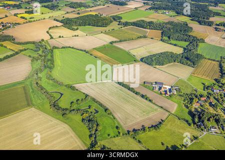 Vue aérienne, prairies et champs, Voeckinghausen, vue sur Hamm, quartier Rhynern, Hamm, Ruhr area, Rhénanie-du-Nord-Westphalie, Allemagne, DE, Europe, agricul Banque D'Images