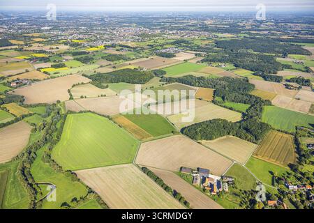 Vue aérienne, prairies et champs, Voeckinghausen, vue sur Hamm, quartier Rhynern, Hamm, Ruhr area, Rhénanie-du-Nord-Westphalie, Allemagne, DE, Europe, agricul Banque D'Images