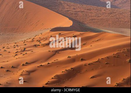 Vue aérienne des dunes de sable orange vallonnées du Namib, broussailles désertiques clairsemées, formations en couches qui s'étendent jusqu'à l'horizon, parc national Namib-Naukluft, Namibie. Banque D'Images