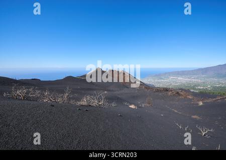 La Palma Tajogaite-Vulkan Tajogaite-Vulkan auf la Palma. Der Tajogaite-Vulkan entstand durch einen fast dreimonatigen Vulkanausbruch von September bis Dezember 2021. Durch den Vulkanausbruch wurde eine grosse Zahl von Haeusern in Doerfern und Siedlungen der Gemeinden El Paso, Los Llanos de Aridane und Tazacorte zerstoert und weite Teile landwirtschaftlich genutzter Flaeche mit Lava und Asche bedeckt. Mittlerweile darf in einem Teil der Gegend um den Vulkan in Begleitung von orts- und fachkundiger Leitung wieder gewandert werden, wenn die Gaskonzentration in der Gegend gering ist. IM Bild : verbe Banque D'Images