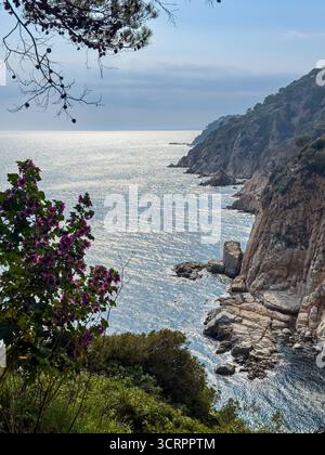 Los acantilados de Tossa de Mar Tomada desde el castillo. Impressionnante vista del litoral Mediterráneo, con el mar azul brillante y las olas. España Banque D'Images