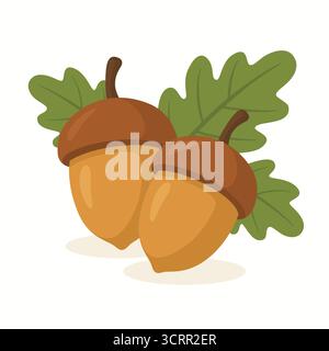 Deux glands avec feuilles de chêne plat design Illustration de Vecteur