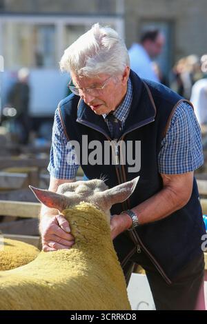 40th Masham Sheep Fair 2025, North Yorkshire, Angleterre, Royaume-Uni Banque D'Images