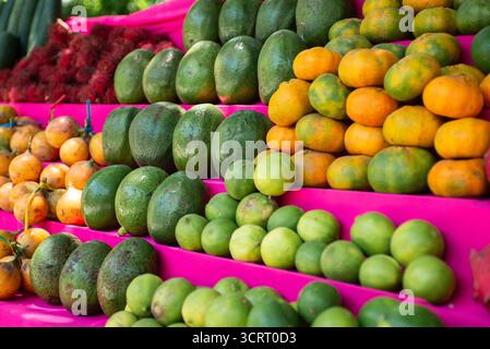 Fruits tropicaux, y compris avocat, citron vert, orange, granadilla, et ramboutan disposé sur une surface rose Banque D'Images