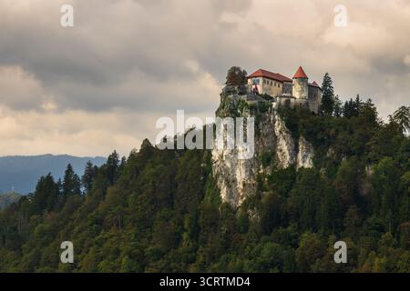 Château de Bled Château médiéval construit au-dessus de la ville de Bled en Slovénie, Banque D'Images