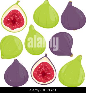 Figues, fruits comestibles frais sucrés du figuier. Ensemble de figues mûres vertes et violettes entières et en coupe coupée en deux. Illustration de Vecteur