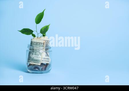 Pot en verre avec germe, pièces de monnaie et dollars sur fond bleu clair, espace pour le texte Banque D'Images