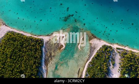 Vue aérienne du lagon turquoise vibrant rencontrant la végétation luxuriante de l'île dans un spectacle étonnant de l'art de la nature, Rangiroa, îles Tuamotu, Polynésie française. Banque D'Images