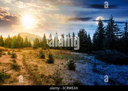 sapins sur une prairie. concept de changement de jour et de nuit. paysage pittoresque avec forêt de conifères dans les montagnes sous le ciel avec le soleil et la lune au crépuscule Banque D'Images