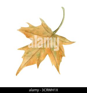 Illustration unique d'aquarelle de feuille d'érable rouge orange sur illustration isolée. Feuilles tombantes d'automne peintes à la main. Elément forestier d'automne floral Banque D'Images