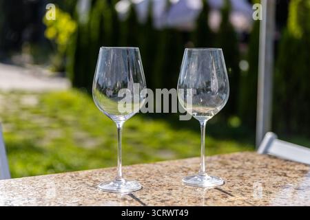 L'image présente deux verres à vin magnifiquement conçus placés sur une table en granit poli, entourés d'un jardin coloré et animé illumi en toile de fond Banque D'Images