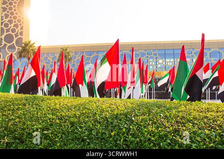Drapeaux des Émirats arabes Unis agitant au vent devant un bâtiment moderne en verre avec des motifs géométriques, une haie verte et des palmiers sous la lumière du soleil. Vacances, s Banque D'Images