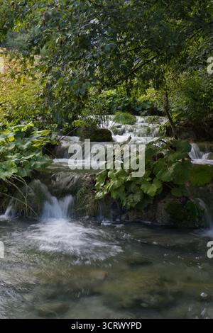Une cascade sereine coule sur des rochers mousselés dans une forêt luxuriante, entourée d'une végétation vibrante et d'arbres imposants. Banque D'Images