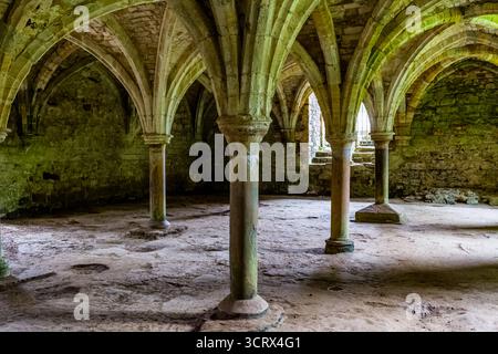 Intérieur arqué d'une ancienne crypte à l'historique abbaye de Battle à Hastings Banque D'Images