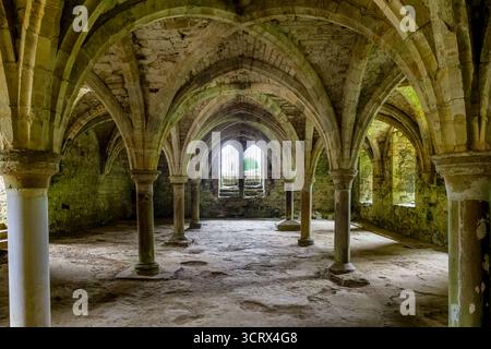 Arches en pierre symétriques et plafond voûté dans le soubassement médiéval de l'abbaye de Battle Banque D'Images