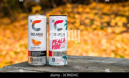 NORWALK, CT, États-Unis - 25 NOVEMBRE 2023 : Celsius Live FIT Sparkling Orange Drink et Peach Vibe en boîte sur une table en bois à l'extérieur avec des feuilles jaunes Banque D'Images