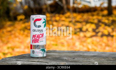 NORWALK, CT, États-Unis - 25 NOVEMBRE 2023 : Celsius Live FIT boisson pétillante de pêche blanche en boîte sur une table en bois à l'extérieur avec des feuilles jaunes Banque D'Images