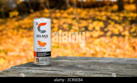 NORWALK, CT, États-Unis - 25 NOVEMBRE 2023 : Celsius Live FIT boisson orange pétillante en boîte sur une table en bois à l'extérieur avec des feuilles jaunes Banque D'Images