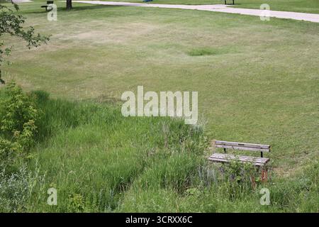 banc rustique délabré au bord des pelouses tondues face à une épaisse prairie naturelle en herbe haute Banque D'Images