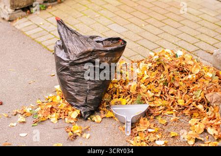 Pile de feuilles d'automne avec une pelle à poussière et un sac poubelle noir sur le trottoir Banque D'Images