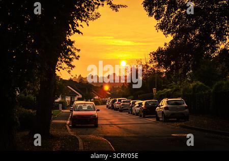 Vibrante Urban Sunset silhouettes : Golden Hour Glow sur une rue résidentielle tranquille avec des voitures garées et des arbres Banque D'Images