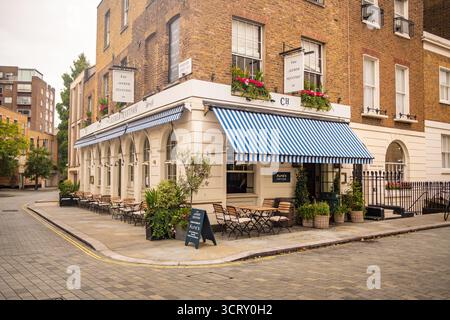 LONDRES- 21 AOÛT 2025 : The Alfred Tennyson - pub et restaurant situé dans une maison de ville géorgienne magnifiquement restaurée à Belgravia Banque D'Images