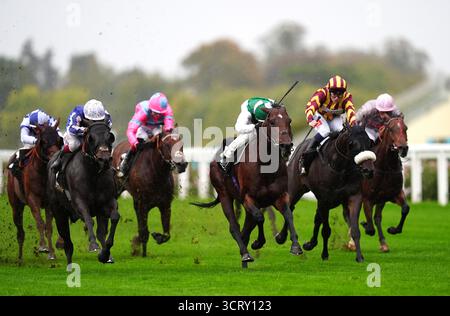 Aramram monté par Tom Marquand (au centre) en route pour gagner le BetMGM handicap à l'hippodrome d'Ascot. Date de la photo : vendredi 3 octobre 2025. Banque D'Images