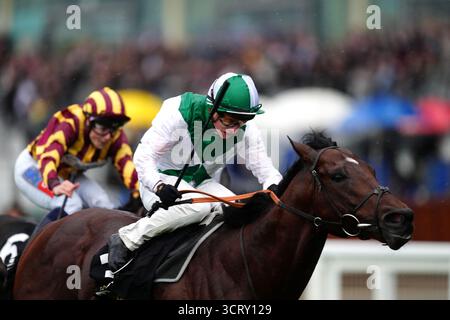 Aramram monté par Tom Marquand sur leur chemin pour gagner le BetMGM handicap à Ascot Racecourse. Date de la photo : vendredi 3 octobre 2025. Banque D'Images
