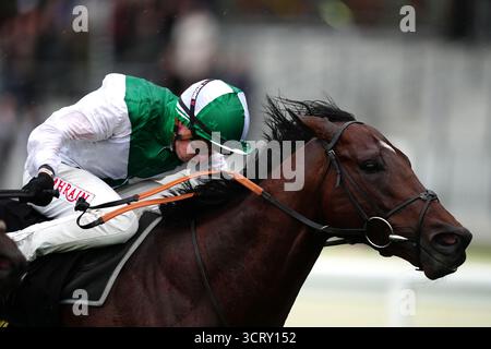 Aramram monté par Tom Marquand sur leur chemin pour gagner le BetMGM handicap à Ascot Racecourse. Date de la photo : vendredi 3 octobre 2025. Banque D'Images