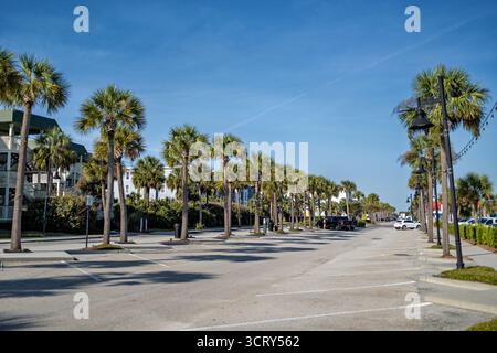 Palm Trees le long de Ocean Blvd Isle of Palms // ISLE OF PALMS, Caroline du Sud — Palm Trees borde Ocean Boulevard, une rue parallèle à l'océan Atlantique sur cette communauté insulaire barrière. Les arbres sont caractéristiques du Sabal Palmetto, l'arbre officiel de Caroline du Sud, qui prospère dans l'environnement côtier de lowcountry. Ocean Boulevard donne accès aux plages de la ville et à divers établissements locaux, y compris des entreprises et des restaurants à vocation touristique. Isle of Palms est situé juste à l'est de Charleston et fonctionne à la fois comme une communauté de vacances et zone résidentielle toute l'année pour Banque D'Images