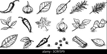 Ensemble d'icônes de doodle dessinées à la main avec des croquis de piment, d'ail et d'herbes pour un design culinaire. Illustration de Vecteur